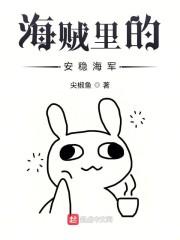 海贼里的安稳海军封面
