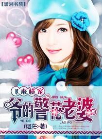 飞来横宠－爷的警花老婆封面