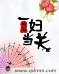一妇当关封面