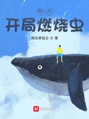 精灵：开局燃烧虫封面