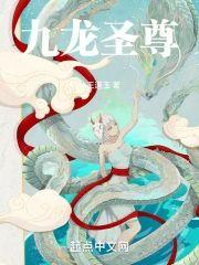 九龙圣尊封面