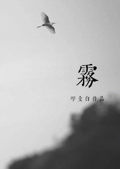 雾封面