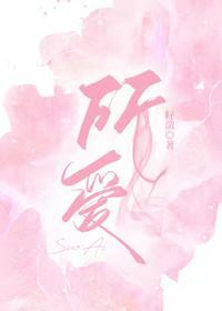 所爱封面