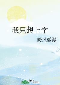 我只想上学封面