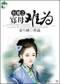 红楼之寡母难为封面