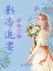 影帝追妻成功了吗封面