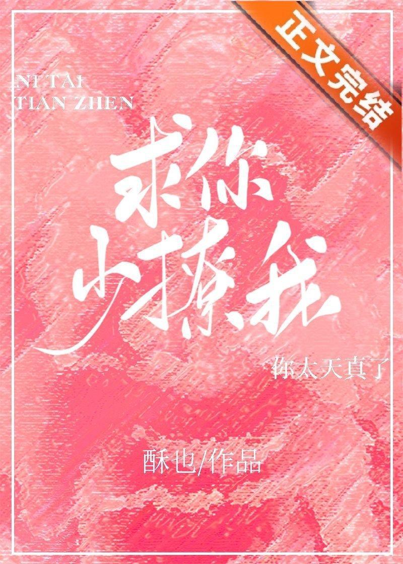 求你少撩我封面