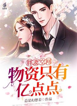 胖妻空间物资只有亿点点封面