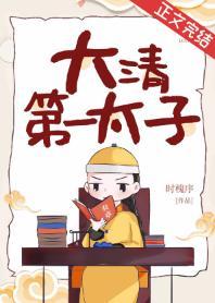 大清第一太子封面