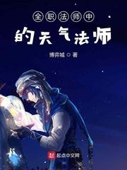 全职法师之操纵天气全职法师之欲魔降临冷言宇风封面