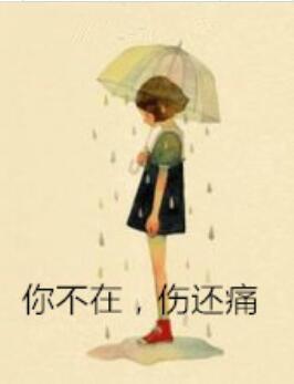 你不在，伤还痛封面
