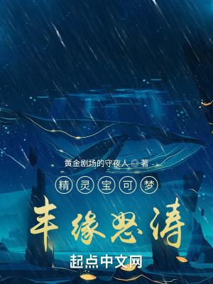 精灵宝可梦：丰缘怒涛封面
