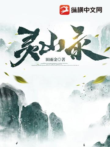 灵山录封面