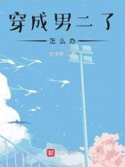 穿成男二了怎么办封面