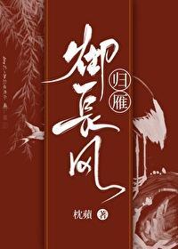 归雁御长风封面