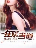 狂婿当道封面