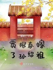 贾探春嫁了孙绍祖封面
