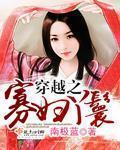 穿越之寡妇丫鬟封面