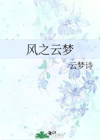 风之云梦封面