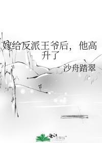 嫁给反派王爷后，他高升了封面