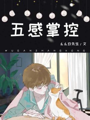 五感掌控封面