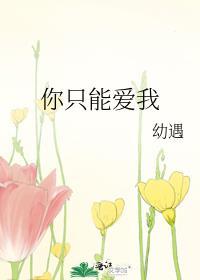 你只能爱我封面