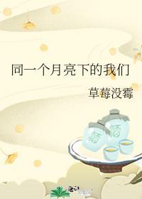 同一个月亮下的我们封面