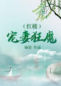 红楼宠妻狂魔封面