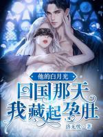 秦夜沈云雾封面