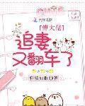 大佬们追着让我翻车封面