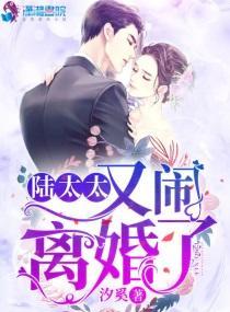陆太太又闹离婚了封面