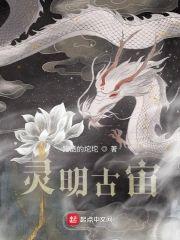 灵明古宙封面