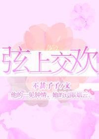 弦上交欢封面