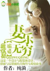 骗婚，妻乐无穷封面
