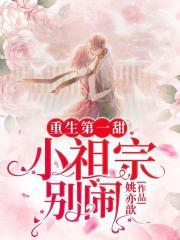 时念念傅宸寒封面