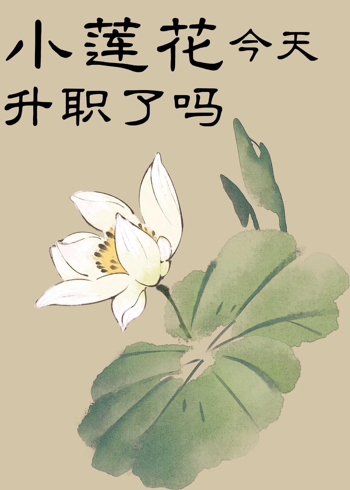 小莲花今天升职了吗封面