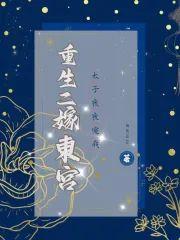 重生二嫁东宫，太子日日宠我封面