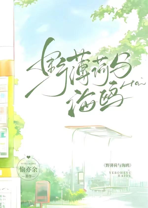 野薄荷与海鸥封面