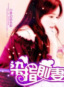 染指前妻封面
