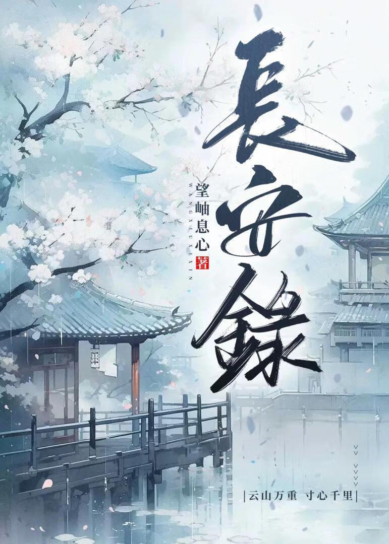 长安录封面