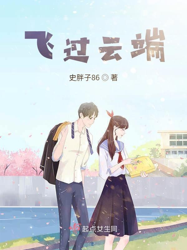 飞过云端封面