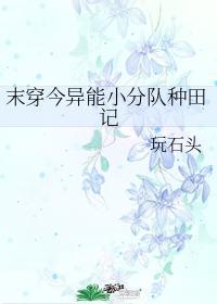 末穿今异能小分队种田记封面