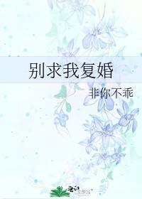 别求我覆婚封面