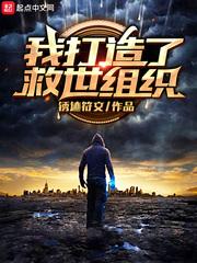 我打造了救世组织封面