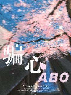 骗心封面