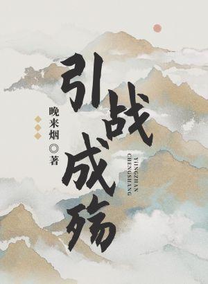 引战成殇封面