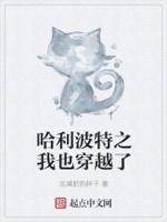 哈利波特之我也穿越了封面