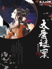 大唐谜案封面