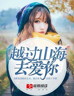 越过山海去爱你封面