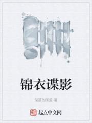 锦衣谍影封面